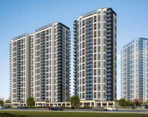 �����Є��ð��÷��Ŀ